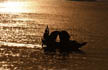 141 Kerala fishermen missing, 79 declared dead in Cyclone Ockhi